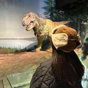 ヒメ日記 2026/03/04 23:31 投稿 むぎ 素人系イメージSOAP彼女感大宮館