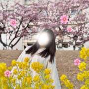 ヒメ日記 2026/03/11 12:24 投稿 むぎ 素人系イメージSOAP彼女感大宮館