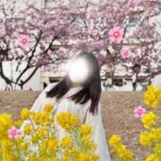 ヒメ日記 2026/03/22 18:11 投稿 むぎ 素人系イメージSOAP彼女感大宮館