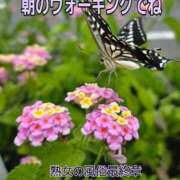 ヒメ日記 2025/08/28 09:26 投稿 くみ 熟女の風俗最終章 沼津店