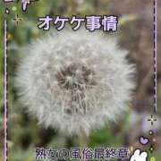 ヒメ日記 2025/08/30 09:48 投稿 くみ 熟女の風俗最終章 沼津店