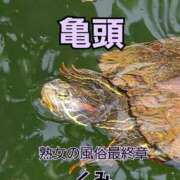 ヒメ日記 2025/08/31 08:48 投稿 くみ 熟女の風俗最終章 沼津店