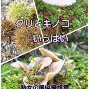 ヒメ日記 2025/10/30 09:58 投稿 くみ 熟女の風俗最終章 沼津店