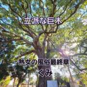 くみ まだまだ　未知な沼津 熟女の風俗最終章 沼津店