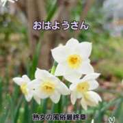 ヒメ日記 2026/03/06 09:43 投稿 くみ 熟女の風俗最終章 沼津店