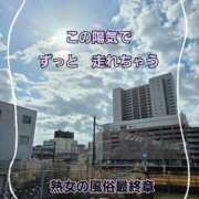 ヒメ日記 2026/03/06 11:18 投稿 くみ 熟女の風俗最終章 沼津店