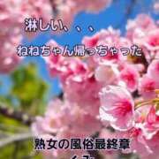 ヒメ日記 2026/03/09 10:20 投稿 くみ 熟女の風俗最終章 沼津店