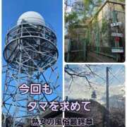 ヒメ日記 2026/04/03 08:24 投稿 くみ 熟女の風俗最終章 沼津店