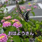 ヒメ日記 2026/08/31 09:08 投稿 くみ 熟女の風俗最終章 沼津店