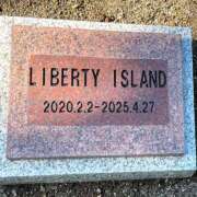 ヒメ日記 2025/08/14 12:27 投稿 ひとみ 池袋人妻ヒットパレード（シンデレラグループ）