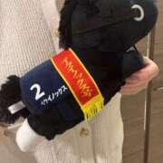 ヒメ日記 2025/09/15 23:12 投稿 ひとみ 池袋人妻ヒットパレード（シンデレラグループ）