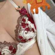 ヒメ日記 2025/12/28 10:29 投稿 ひとみ 池袋人妻ヒットパレード（シンデレラグループ）