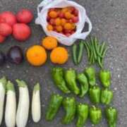 ヒメ日記 2026/04/16 14:57 投稿 かえで ニューヨークニューヨーク