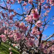 ヒメ日記 2026/02/21 11:44 投稿 みやび まじらぶ！