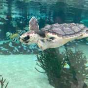 ヒメ日記 2025/08/19 08:10 投稿 松井 人妻風俗チャンネル