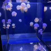 ヒメ日記 2025/08/30 07:12 投稿 松井 人妻風俗チャンネル