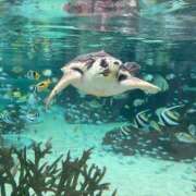 ヒメ日記 2025/09/13 07:19 投稿 松井 人妻風俗チャンネル