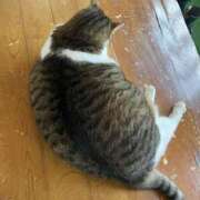 ヒメ日記 2025/09/15 10:21 投稿 松井 人妻風俗チャンネル