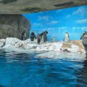 ヒメ日記 2025/09/18 08:50 投稿 松井 人妻風俗チャンネル