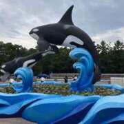 ヒメ日記 2025/10/04 09:19 投稿 松井 人妻風俗チャンネル