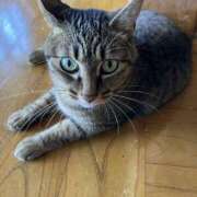 ヒメ日記 2025/10/07 08:44 投稿 松井 人妻風俗チャンネル