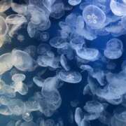 ヒメ日記 2025/10/11 06:21 投稿 松井 人妻風俗チャンネル