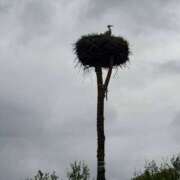 ヒメ日記 2025/10/21 08:51 投稿 松井 人妻風俗チャンネル