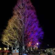 ヒメ日記 2025/12/25 07:57 投稿 松井 人妻風俗チャンネル