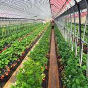 ヒメ日記 2026/02/26 07:48 投稿 ゆあ 奥様はエンジェル　八王子店