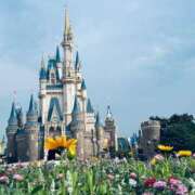 ヒメ日記 2025/08/03 21:32 投稿 かな ぽちゃカワ女子専門店 千葉松戸店