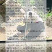 ヒメ日記 2025/12/03 15:18 投稿 ★海月ここな★ CLUB39（クラブサンキュー）