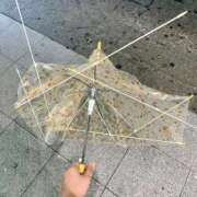 ヒメ日記 2025/10/01 09:18 投稿 すみれ 新妻物語