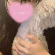 ヒメ日記 2026/07/02 20:05 投稿 すみれ 新妻物語
