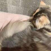 ヒメ日記 2025/10/19 08:24 投稿 桃李-MOMORI- luxury aroma 咲