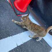 ヒメ日記 2025/10/27 20:30 投稿 桃李-MOMORI- luxury aroma 咲