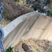 ヒメ日記 2025/11/29 20:29 投稿 桃李-MOMORI- luxury aroma 咲