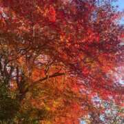 ヒメ日記 2025/12/01 14:17 投稿 桃李-MOMORI- luxury aroma 咲