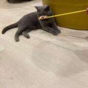 ヒメ日記 2025/12/03 16:00 投稿 桃李-MOMORI- luxury aroma 咲