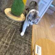 ヒメ日記 2025/12/13 21:06 投稿 桃李-MOMORI- luxury aroma 咲