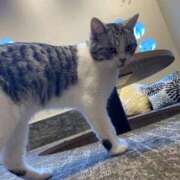 ヒメ日記 2025/12/15 09:03 投稿 桃李-MOMORI- luxury aroma 咲