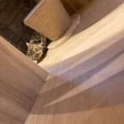 ヒメ日記 2025/12/23 14:13 投稿 桃李-MOMORI- luxury aroma 咲