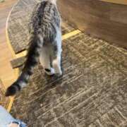 ヒメ日記 2025/12/26 15:29 投稿 桃李-MOMORI- luxury aroma 咲