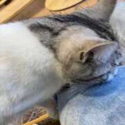 ヒメ日記 2025/12/28 12:18 投稿 桃李-MOMORI- luxury aroma 咲