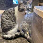 ヒメ日記 2026/01/03 08:15 投稿 桃李-MOMORI- luxury aroma 咲