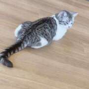 ヒメ日記 2026/01/12 14:17 投稿 桃李-MOMORI- luxury aroma 咲