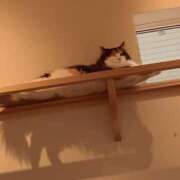 ヒメ日記 2026/01/25 10:00 投稿 桃李-MOMORI- luxury aroma 咲