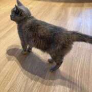 ヒメ日記 2026/02/13 10:30 投稿 桃李-MOMORI- luxury aroma 咲