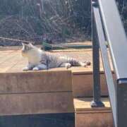 ヒメ日記 2026/03/18 11:07 投稿 桃李-MOMORI- luxury aroma 咲