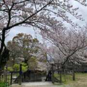 ヒメ日記 2026/04/10 09:45 投稿 桃李-MOMORI- luxury aroma 咲