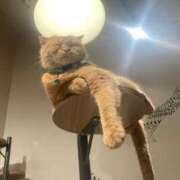 ヒメ日記 2026/04/10 13:15 投稿 桃李-MOMORI- luxury aroma 咲